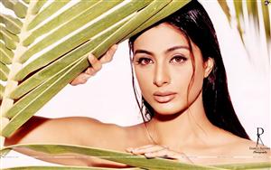 Tabu bares it all in Daboo Ratnani`s sexy photoshoot